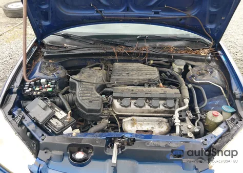 2005 Honda Civic Vp z USA, uszkodzony, nr VIN 1HGES16485L020634